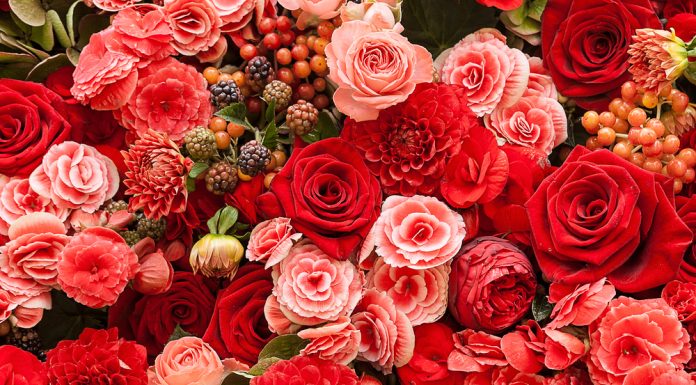 Why Has The Online Florist Become So Popular?