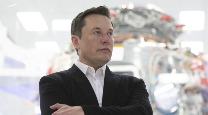 Elon Musk is one step closer to connecting a computer to your brain