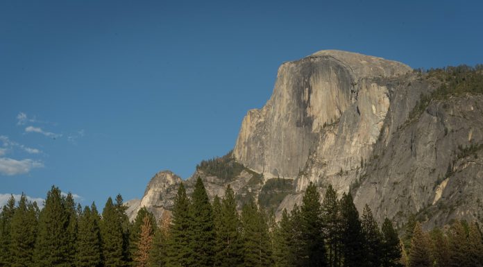 In defense of California
