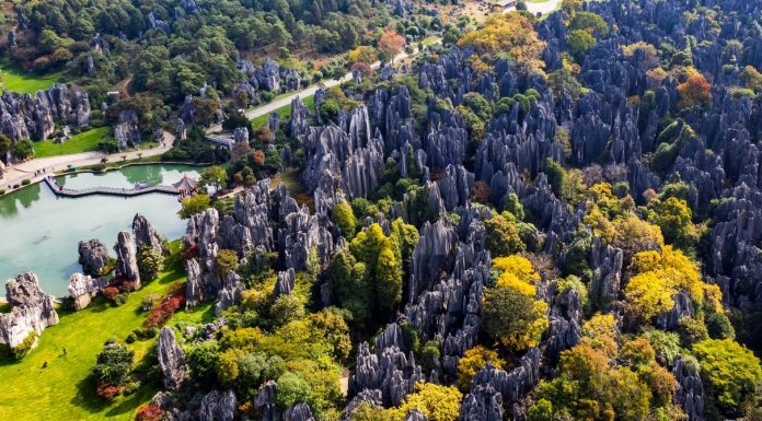 Mathematicians May Have Figured Out How ‘Stone Forests’ Form