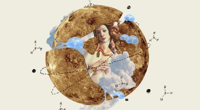 Scientists Found Phosphine on Venus—A Possible Hint of Life