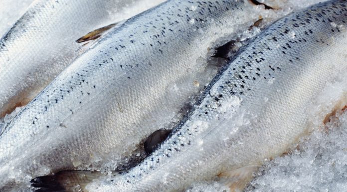 Scientists May Have Found a Material for Building on Mars