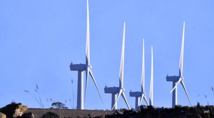 Technology put at heart of emissions cuts – Forbes Advocate