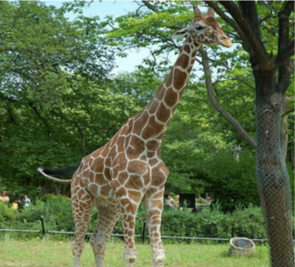 These weird, unsettling photos show that AI is getting smarter