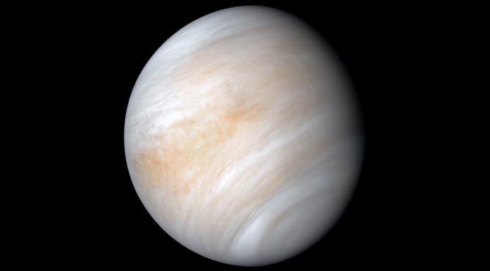 We need to go to Venus as soon as possible