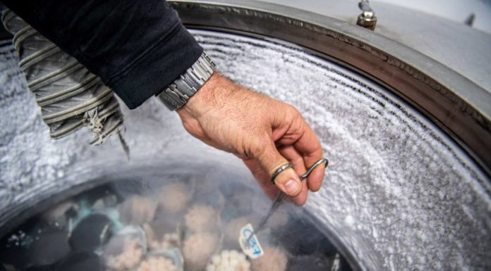 Australian science and technology sectors talk of ‘revival’ as Federal Government splashes the cash in Budget – ABC News