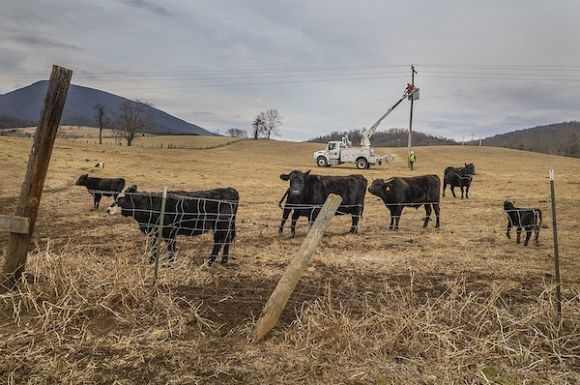 How technology can help Australia’s agricultural sector thrive – Independent Australia