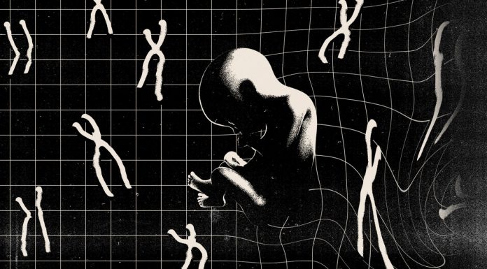 In Embryos, Crispr Can Cut Out Whole Chromosomes—That’s Bad