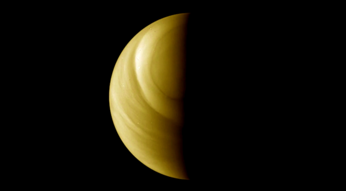 Not finding life on Venus would be disappointing. But it’s good science at work.