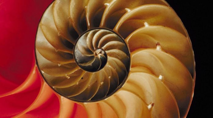 Bash 5.1 brings back older behavior