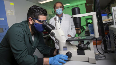 ‘The time is now’ for Australia to harness new vaccine technology – Sydney Morning Herald