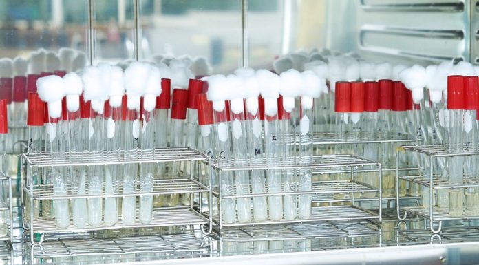 If Covid-19 Did Start With a Lab Leak, Would We Ever Know?