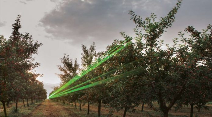 ‘Responsible’ bird-deterrent technology helps grower, puts ‘dejected’ farm dog out of job – ABC News