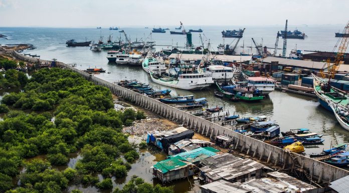 The Ongoing Collapse of the World’s Aquifers