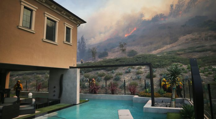 The pandemic taught us how not to deal with climate change