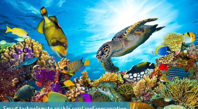 Accenture’s smart technology to enable coral reef conservation – Consultancy.com.au