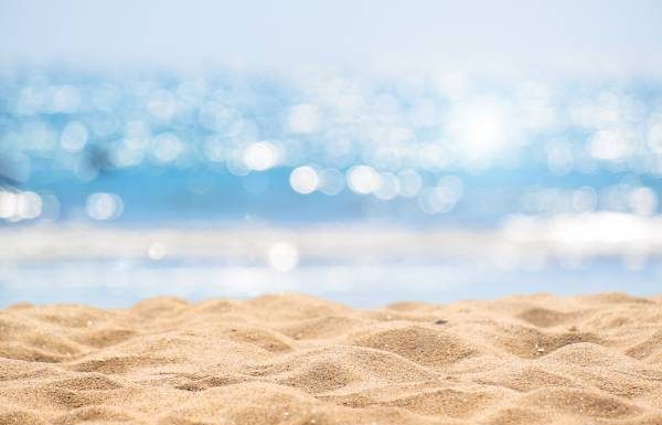 New technology could give swimmers a better idea of deadly stingers – 4BC