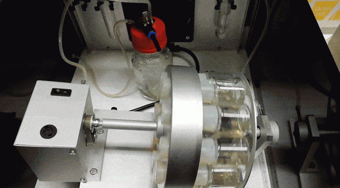 A mouse embryo has been grown in an artificial womb—humans could be next