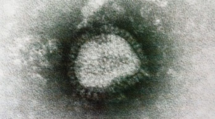 Covid Meant a Year Without the Flu. That’s Not All Good News