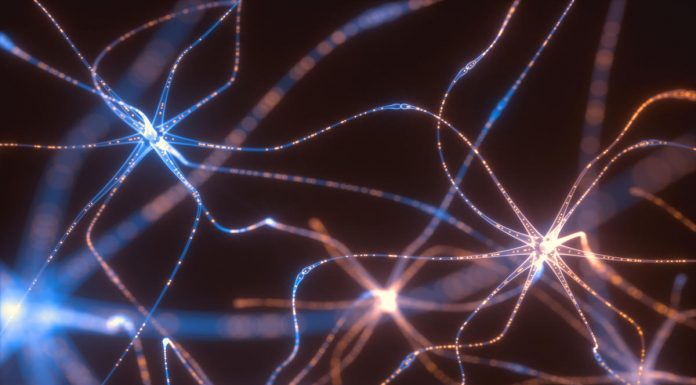 Deno 1.8 preps for GPU-accelerated machine learning