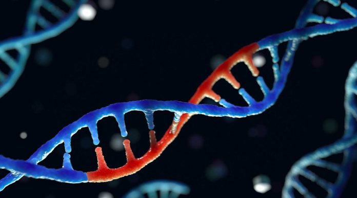 How technology is powering innovation in healthcare | Technology & AI – Healthcare Global – Healthcare News, Magazine and Website