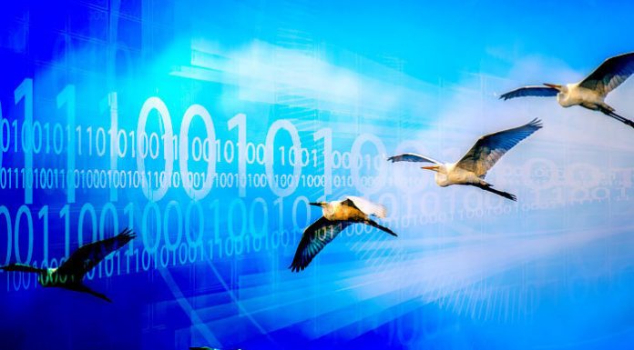 Why migrating to .Net 5 is worth the effort