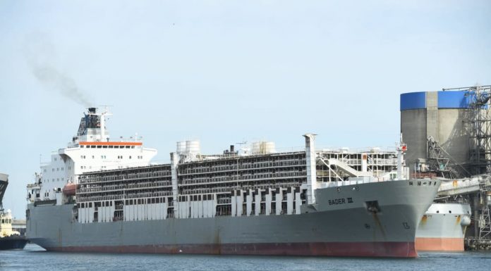 Concern over technology for live export ships – Country News