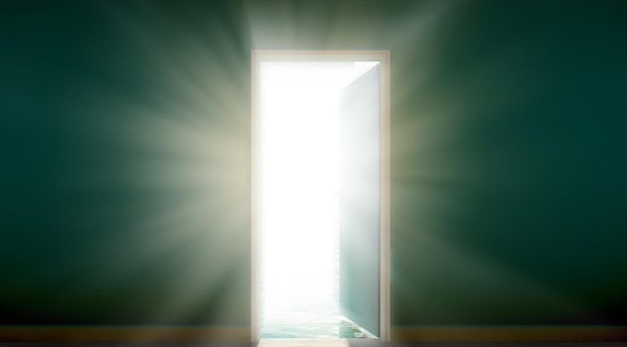 Microsoft open sources C# standards work