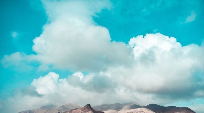 How technology can be used to future-proof not-for-profits – Fundraising & Philanthropy Magazine