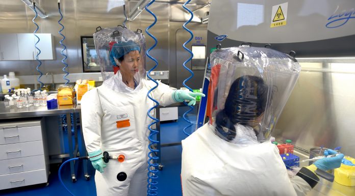 Top researchers are calling for a real investigation into the origin of covid-19