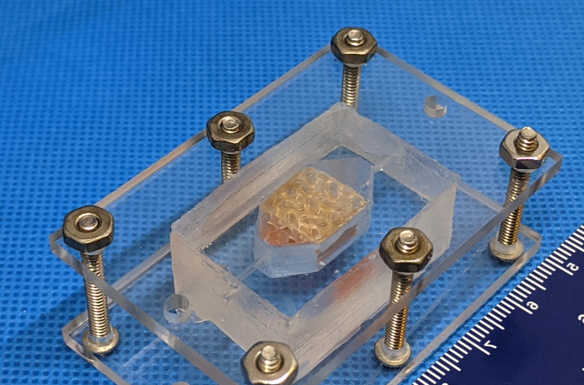 NASA inches closer to printing artificial organs in space