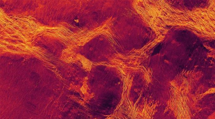 Scientists might have spotted tectonic activity inside Venus