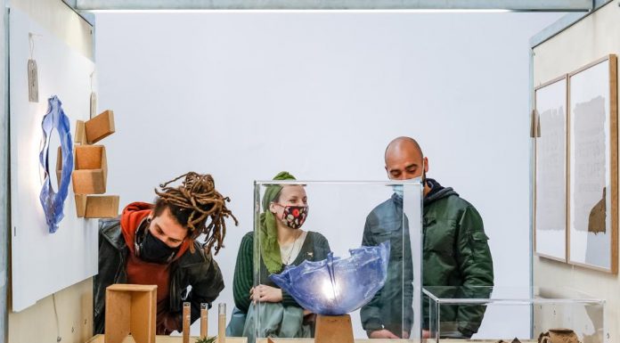 Sustainability And Environment Recognized At European Award For Science, Technology And Art – Forbes