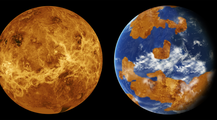The next Venus missions will tell us about habitable worlds elsewhere