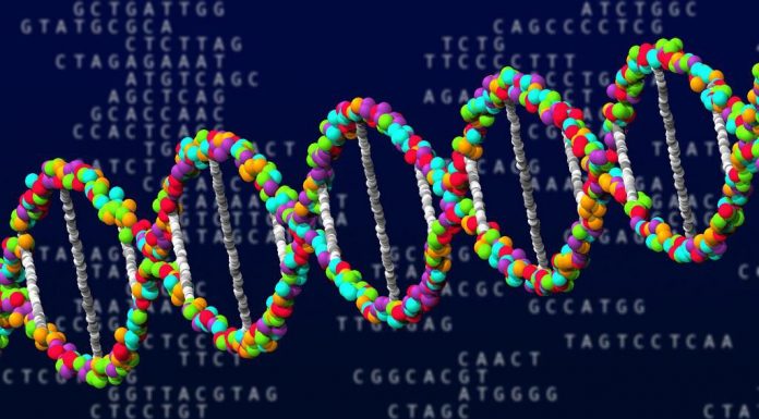 A Pioneer Of Cell-Free Genome Technology Is Unlocking Biology’s Potential – Forbes