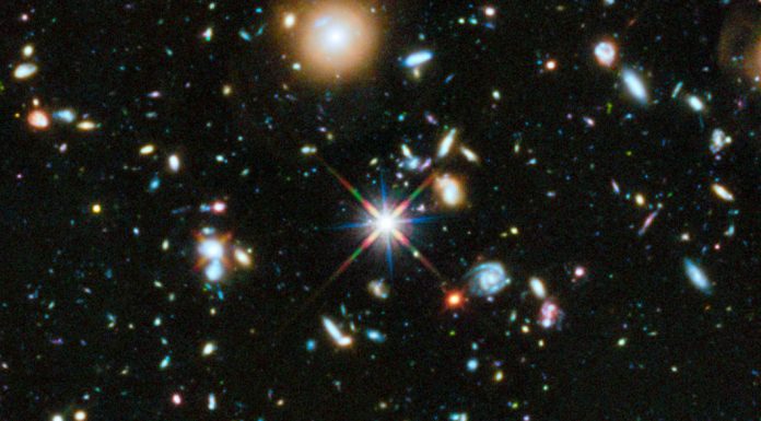 Are Humans the Meanest Species in the Universe?