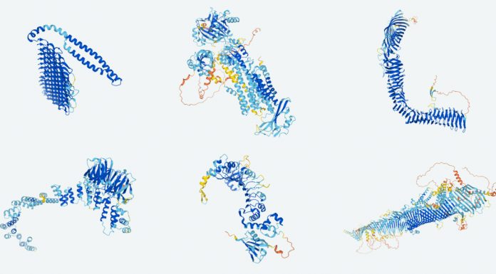 DeepMind says it will release the structure of every protein known to science