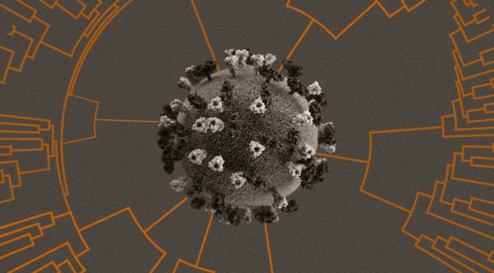 Meet the people who warn the world about new covid variants