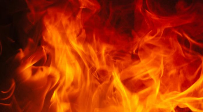 12 hot language projects riding WebAssembly