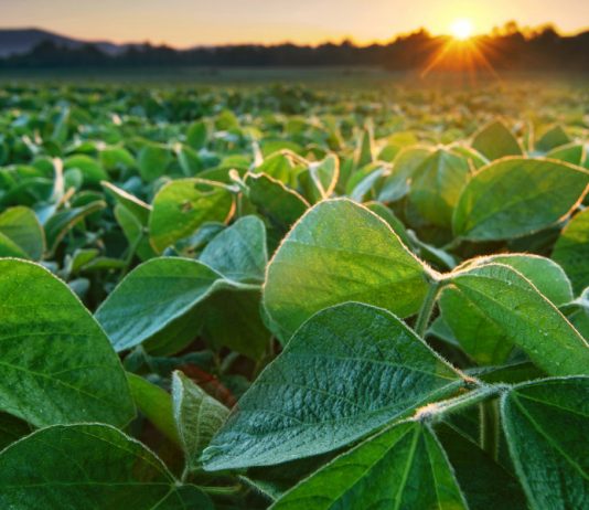 How the world already prevented far worse warming this century