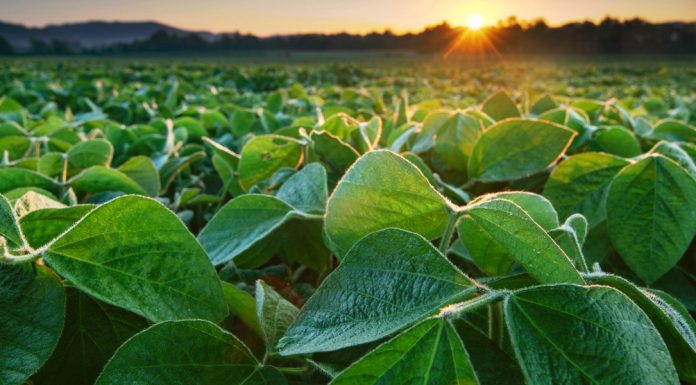 How the world already prevented far worse warming this century