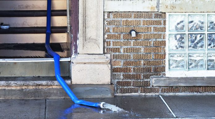 Floods Have Swamped the US. The Next Health Problem: Mold