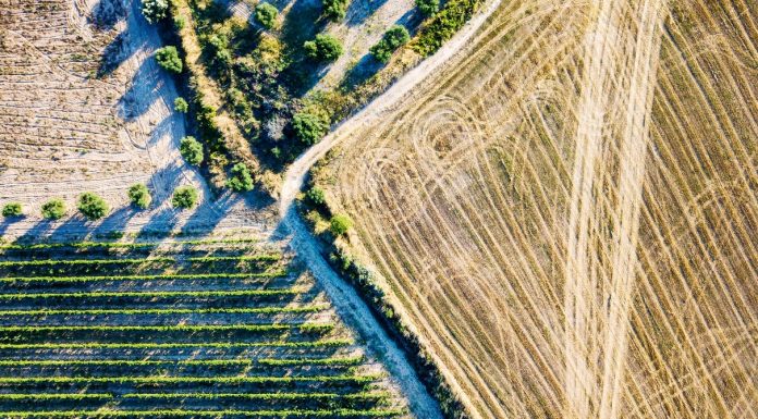 How Healthy Is Farm Soil? Check How Active Its Microbes Are