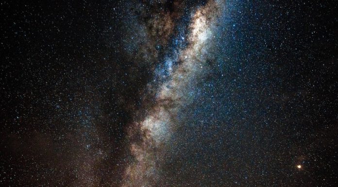 In New Zealand, People (and Moths) Rediscover Dark Skies