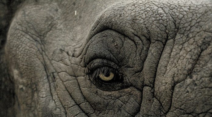 PostgreSQL 14 brings performance boosts