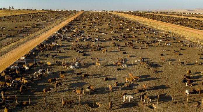 Pulling methane out of the atmosphere could slow global warming—if we can figure out how to do it