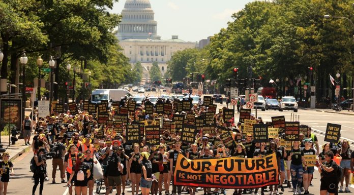 Video: How cheap renewables and rising activism are shifting climate politics