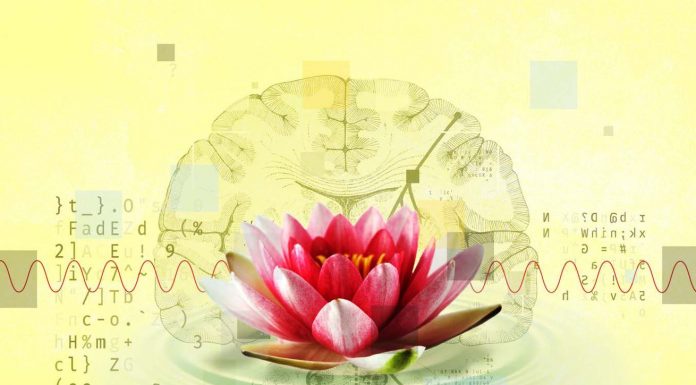 Instant enlightenment — just add tech?