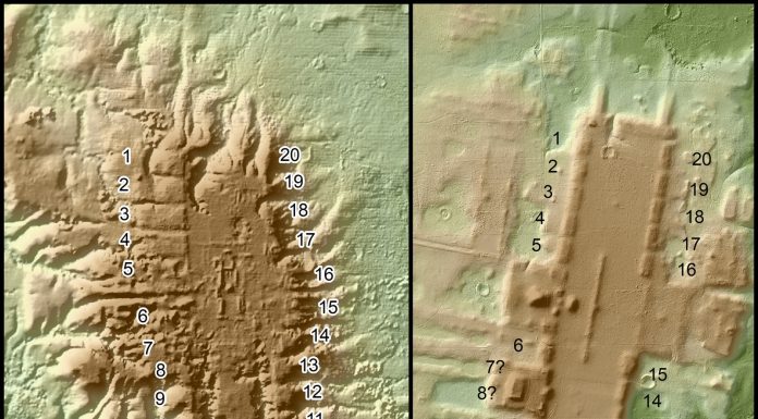 Lidar Uncovers Hundreds of Lost Maya and Olmec Ruins
