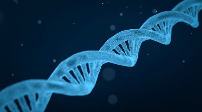 AFP to adopt radical new DNA technology – Sunday Extra – ABC News